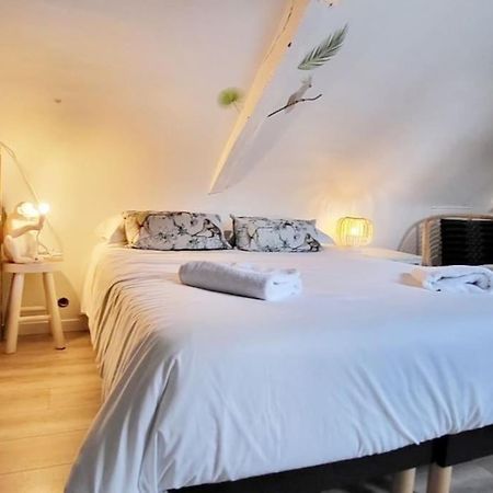 La Cabane - Petit Studio Mansarde - Plage 50M - Rue Gratuite Saint-Malo Bagian luar foto