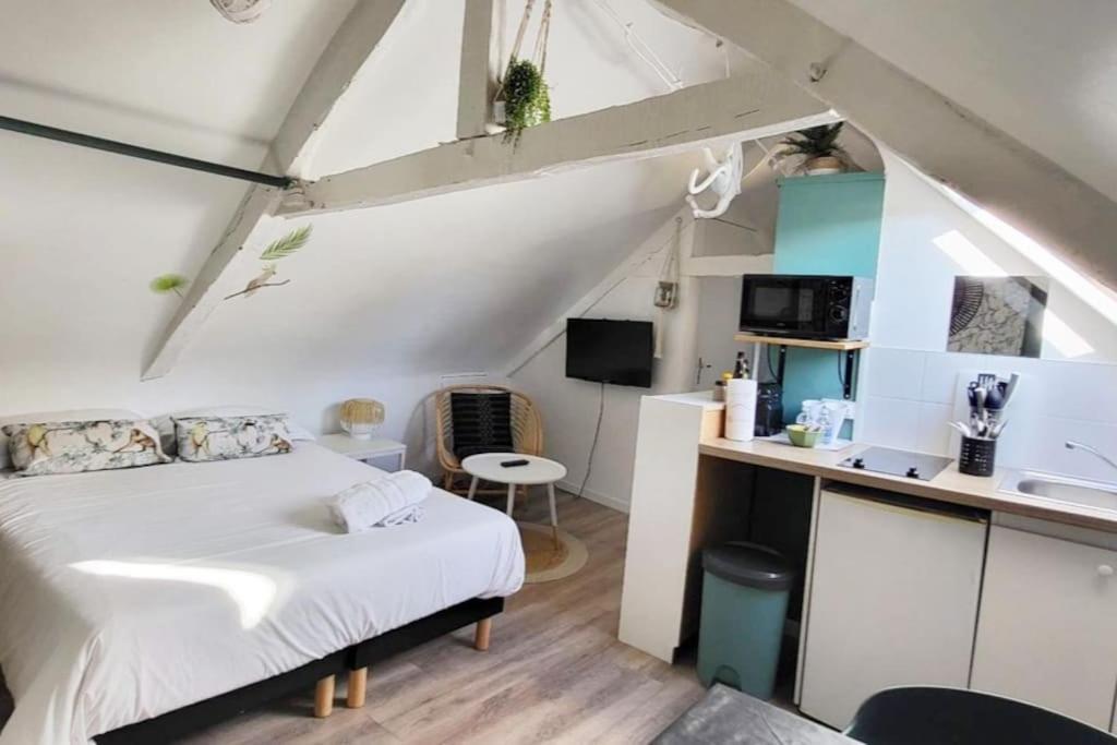 La Cabane - Petit Studio Mansarde - Plage 50M - Rue Gratuite Saint-Malo Bagian luar foto