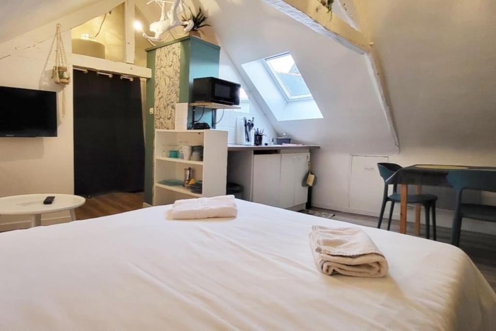 La Cabane - Petit Studio Mansarde - Plage 50M - Rue Gratuite Saint-Malo Bagian luar foto